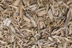 biomass boilers Thundridge